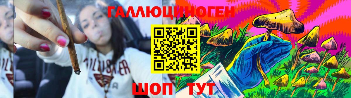 цены наркотик  Псилоцибиновые грибы Psilocybine cubensis  Вход с VPN  Майкоп 
