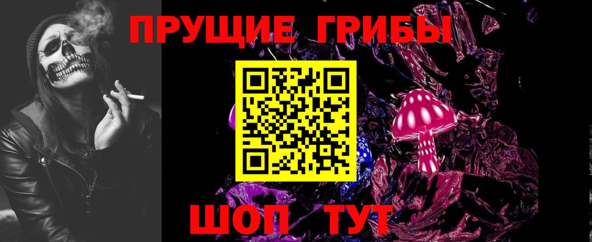 Псилоцибиновые грибы Psilocybe Майкоп